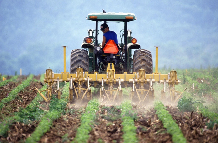 Tractor plowing the field